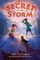 Secret of the Storm