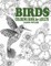 Birds Coloring Book For Adults