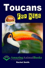 Toucans For Kids