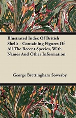 Illustrated Index of British Shells - Containing Figures of All the Recent Species, with Names and Other Information