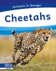 Cheetahs