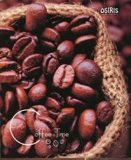 Sąsiuvinis A5 96l. langeliais