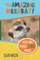 The Amazing Meerkat!