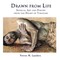 Drawn from Life