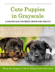 Cute Puppies