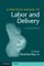 Practical Manual to Labor and Delivery