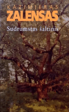 Sudrumstas šaltinis
