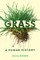 Grass
