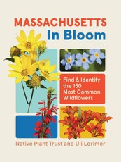 Massachusetts in Bloom
