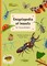 Encyclopedia of Insects for Young Readers