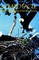 The Bald Eagle