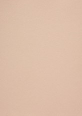 Popier.A4 CM 120g. Nude 408158