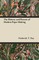 The History and Process of Modern Paper Making