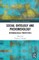 Social Ontology and Phenomenology