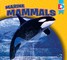 Marine Mammals