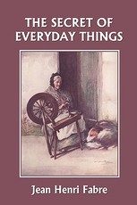 The Secret of Everyday Things (Yesterday's Classics)