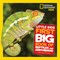 Hughes, C: National Geographic Little Kids First Big Book of (el. knyga)