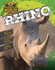 Rhino