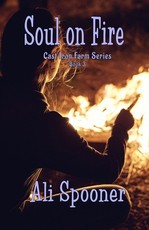Soul on Fire