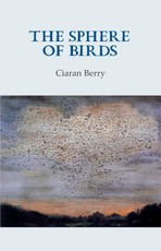 The Sphere of Birds