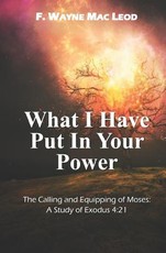 What I Have Put in Your Power