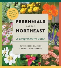 Essential Perennials for the Northeast
