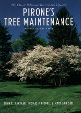 Pirone's Tree Maintenance