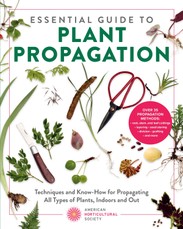 Essential Guide to Plant Propagation