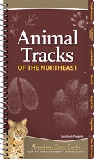 Animal Tracks of the Northeast