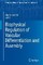 Biophysical Regulation of Vascular Differentiation and Assembly
