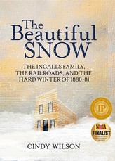 The Beautiful Snow
