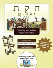 Bar/Bat Mitzvah Survival Guides