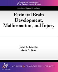 Perinatal Brain Development, Malformation, and Injury