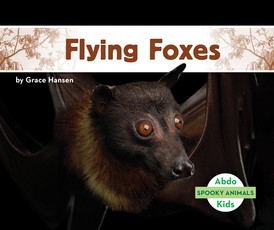 Flying Foxes