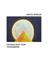 Crosslight for Youngbird