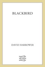 Blackbird