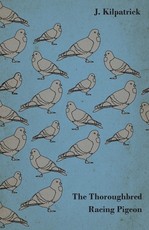 The Thoroughbred Racing Pigeon
