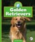 Golden Retrievers