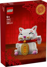 Konstruktorius Blocks 40813 — Laimės katė