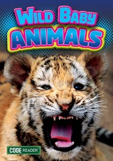 Wild Baby Animals