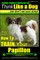 Papillon, Papillon Training AAA AKC
