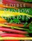 Edible Rainbow Garden