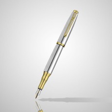 Parkeris dėžutėje REGAL sidabrinis su aukso spalvos detalėmis