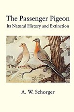 The Passenger Pigeon