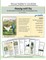 Teacher's Guide
