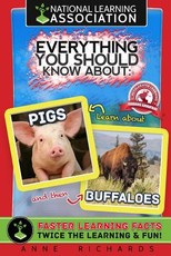 Everything You Should Know About