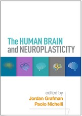 The Human Brain and Neuroplasticity