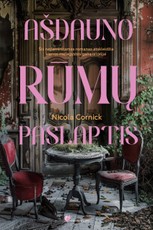 Ašdauno rūmų paslaptis (knyga su defektais)