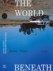 The World Beneath: A Novel