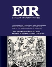 Executive Intelligence Review; Volume 41, Issue 42